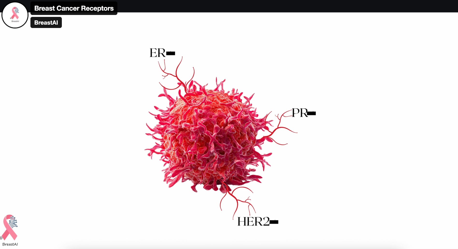Breast Cancer Receptors